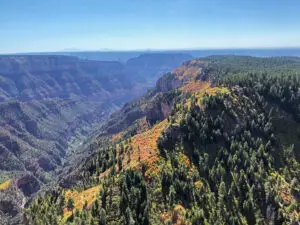 RS14002_SouthRim-FallScenic-EDIT-2