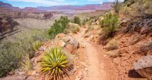 xr:d:DAFY0IFo3BA:6,j:46013911319,t:23012902