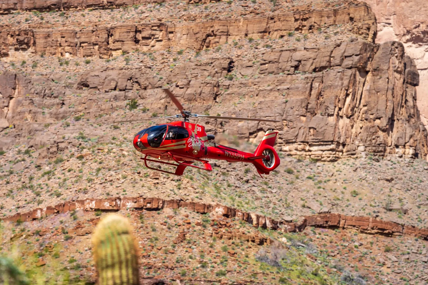 RS19300_A7304694 - Copy